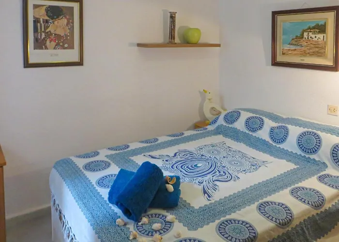 Tatil Evi Pet Friendly In With Kitchen Torrevieja