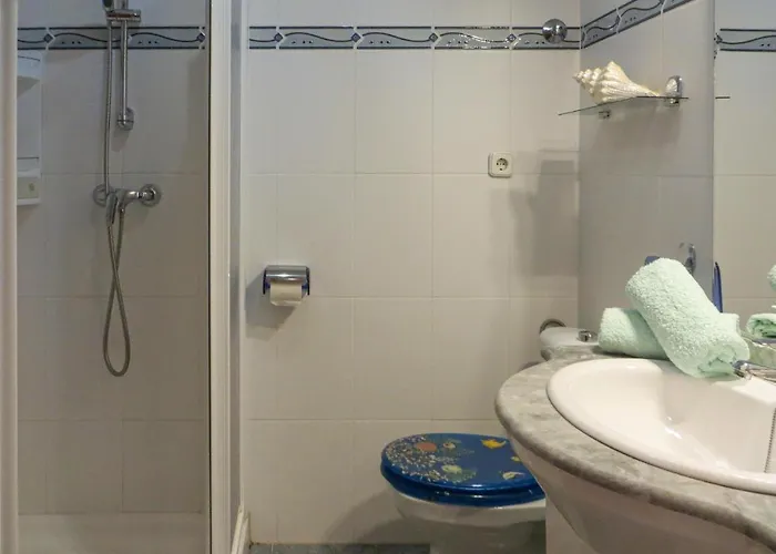 Pet Friendly In With Kitchen